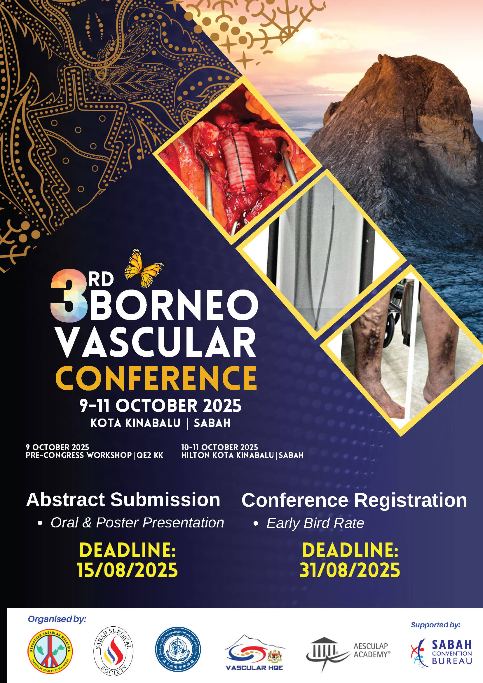 Borneo Vascular Conference 2025